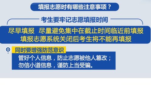 填报志愿关键要点与信息咨询服务指南