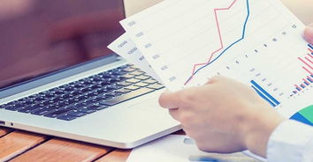 重庆专业项目可行性研究报告编写与信息咨询服务